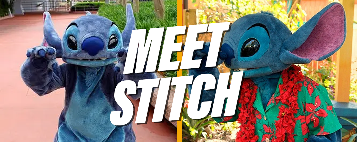 MEET STITCH 